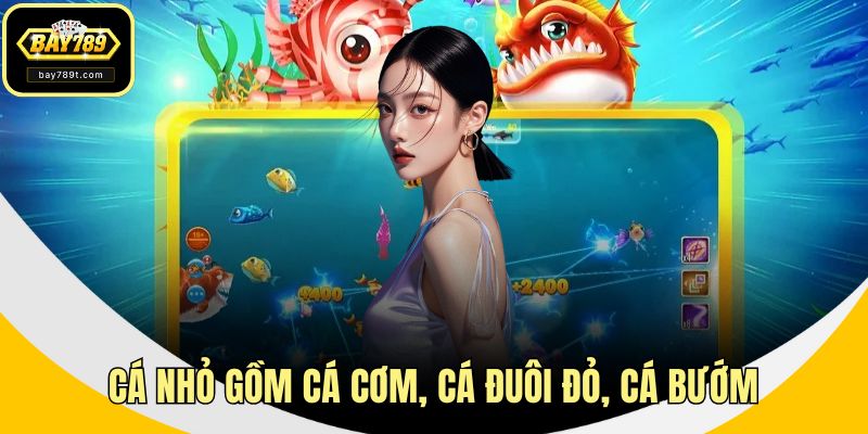 Cá nhỏ gồm cá cơm, cá đuôi đỏ, cá bướm