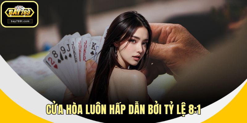 Cửa Hòa luôn hấp dẫn bởi tỷ lệ 8:1
