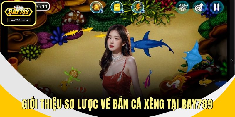 Giới thiệu sơ lược về bắn cá xèng tại BAY789