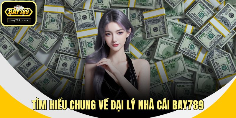 Tìm hiểu chung về đại lý nhà cái BAY789